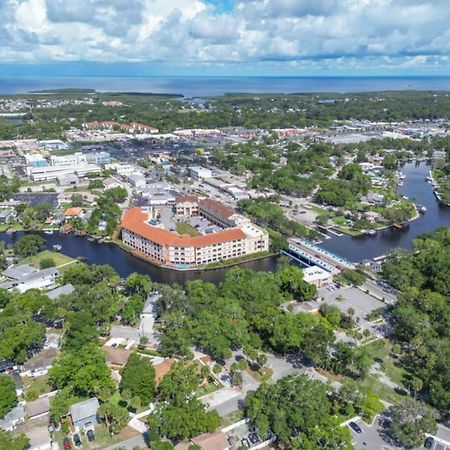 Walk Everywhere! 1-Bedroom Gem In Downtown Hub New Port Richey Dış mekan fotoğraf