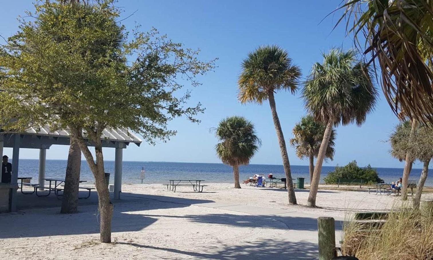 Walk Everywhere! 1-Bedroom Gem In Downtown Hub New Port Richey Dış mekan fotoğraf