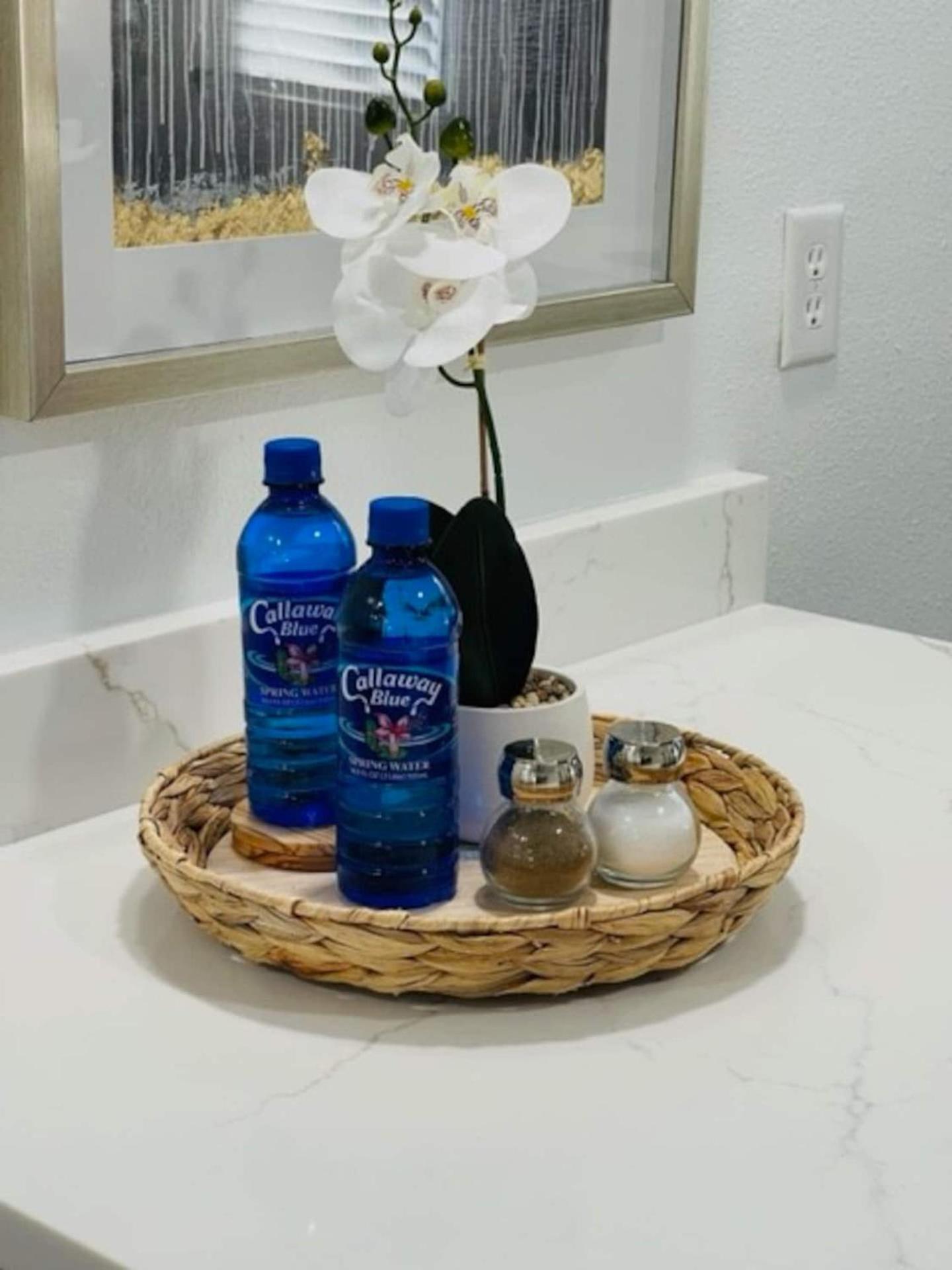 Walk Everywhere! 1-Bedroom Gem In Downtown Hub New Port Richey Dış mekan fotoğraf