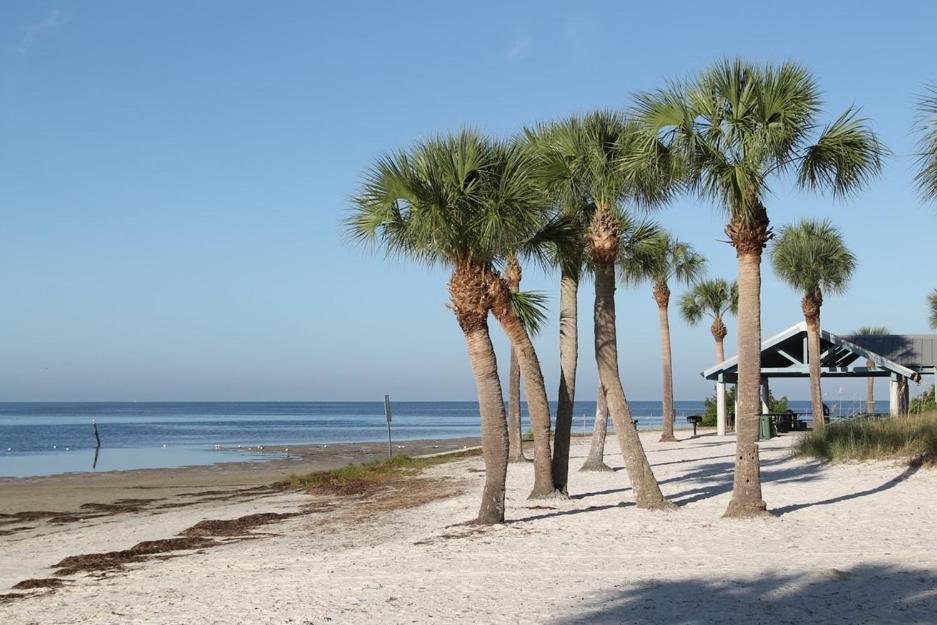 Walk Everywhere! 1-Bedroom Gem In Downtown Hub New Port Richey Dış mekan fotoğraf